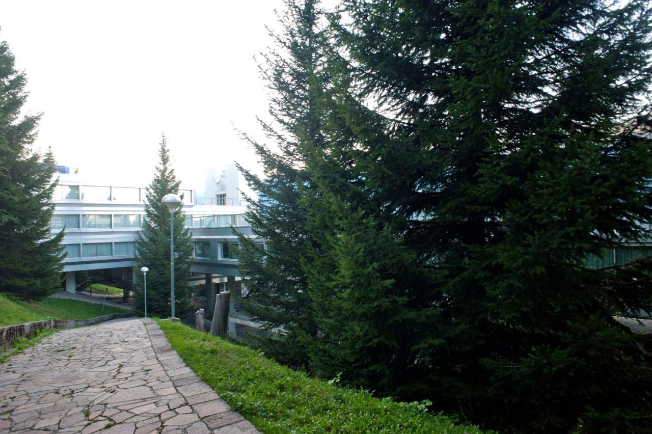 Ale 1206, Marilleva 1400 Accesso Diretto Alle Piste Exterior foto