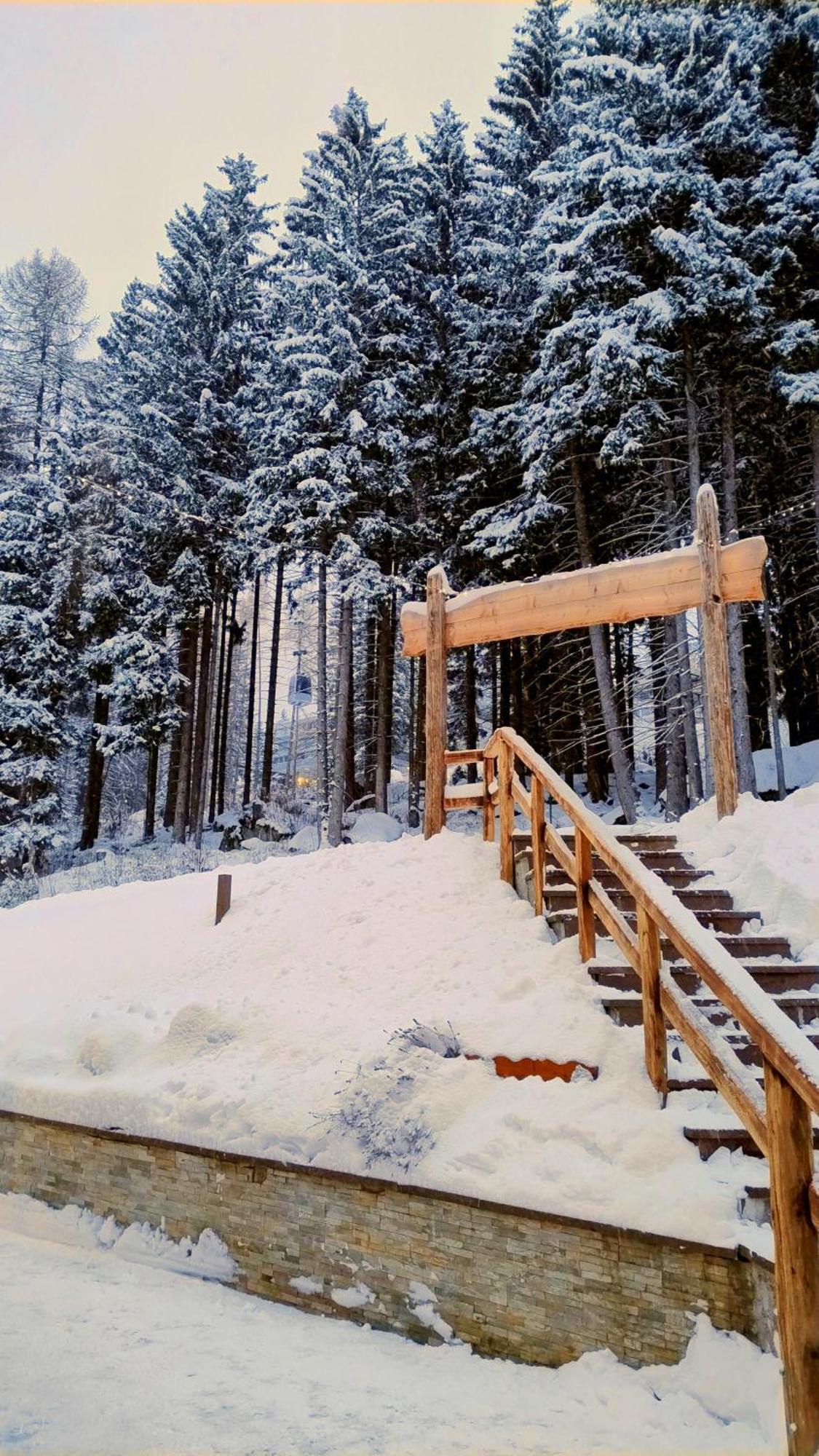 Ale 1206, Marilleva 1400 Accesso Diretto Alle Piste Exterior foto